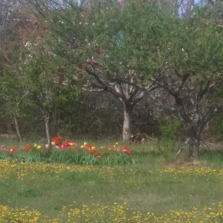 A La Campagne Aiglun (Alpes-de-Haute-Provence)