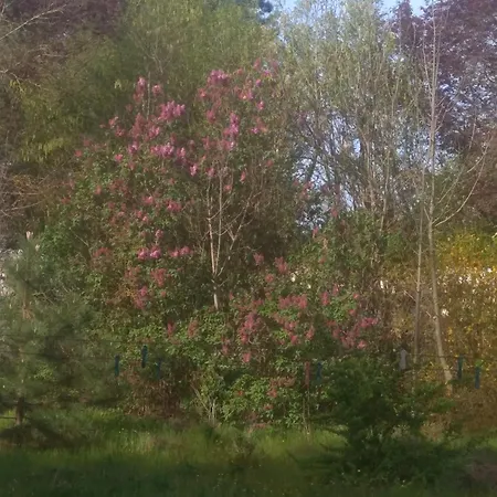A La Campagne