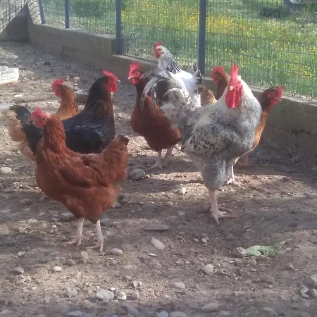 A La Campagne