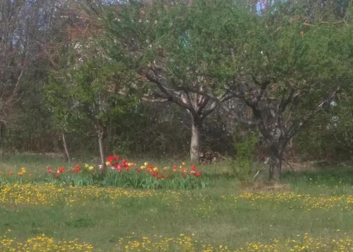 à La Campagne Aiglun (Alpes-de-Haute-Provence)
